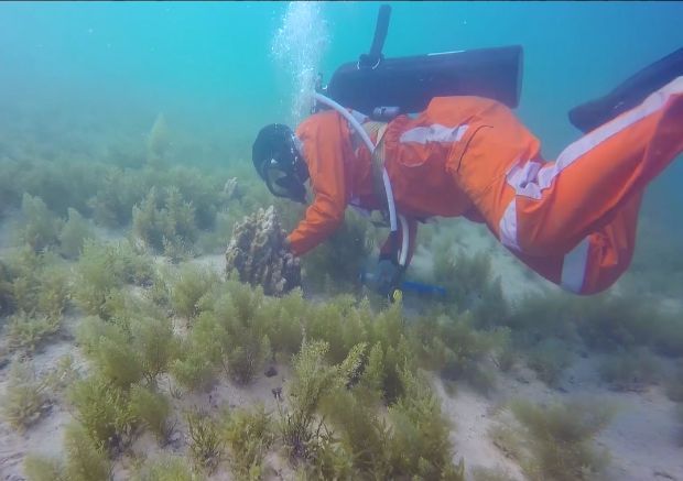 yp街机·电子游戏(中国)官方网站