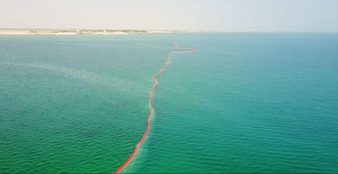 yp街机·电子游戏(中国)官方网站