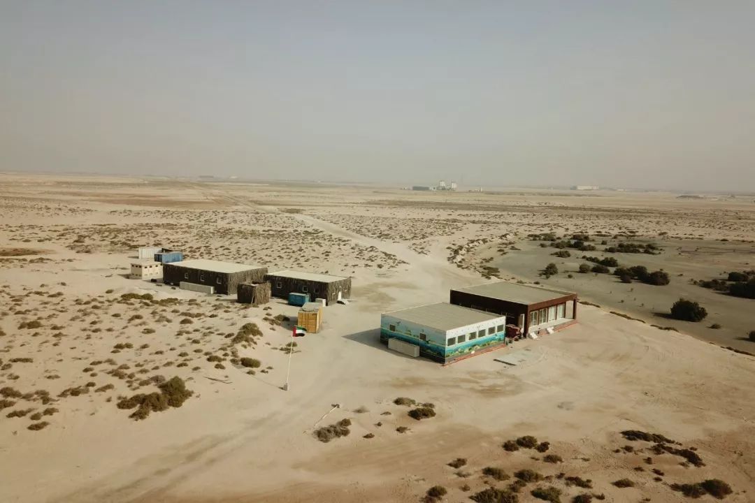 yp街机·电子游戏(中国)官方网站