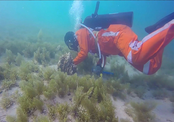 yp街机·电子游戏(中国)官方网站