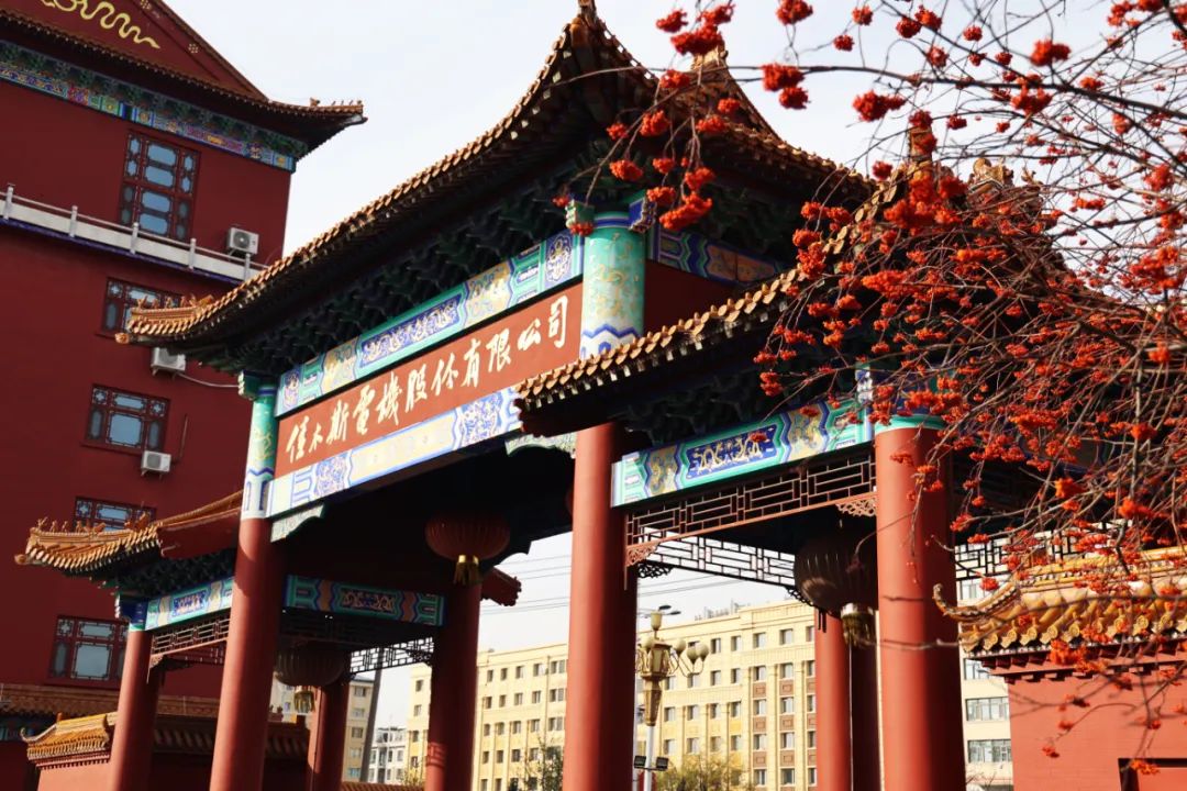 yp街机·电子游戏(中国)官方网站