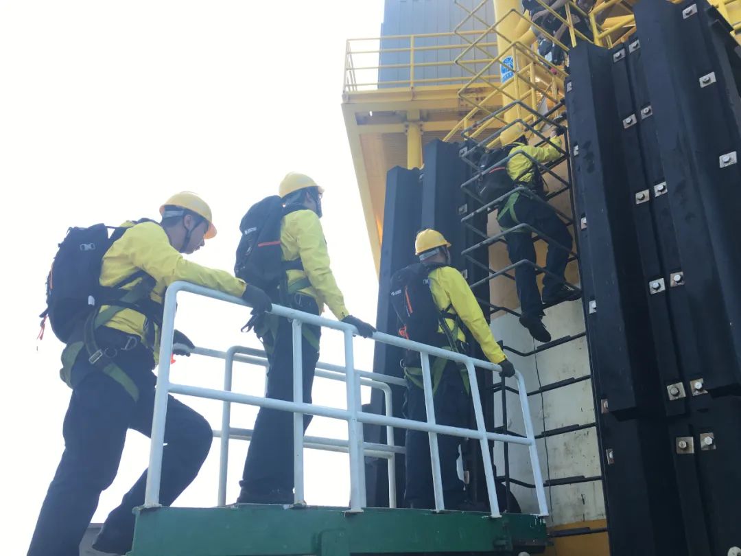 yp街机·电子游戏(中国)官方网站