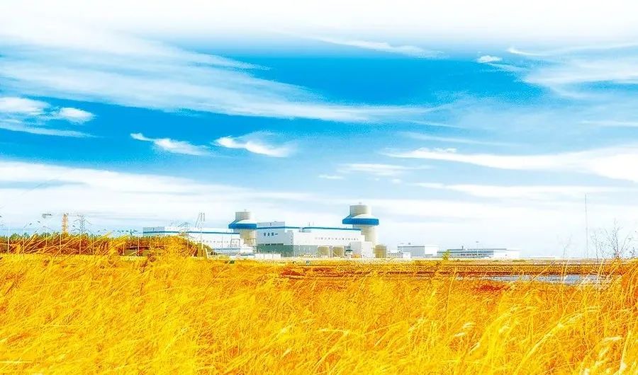 yp街机·电子游戏(中国)官方网站