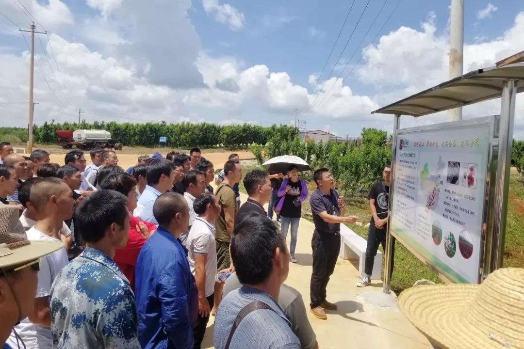 yp街机·电子游戏(中国)官方网站