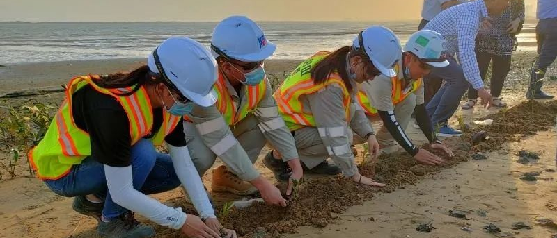 yp街机·电子游戏(中国)官方网站