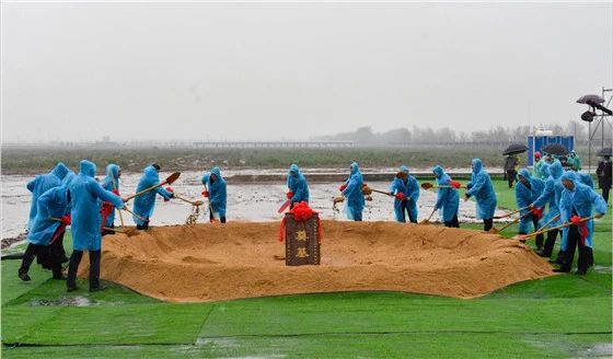 yp街机·电子游戏(中国)官方网站