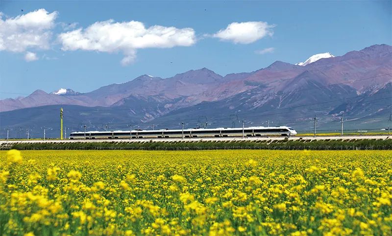 张玉卓、国资、央企、国资委、书记、主任、国企、企业刷新