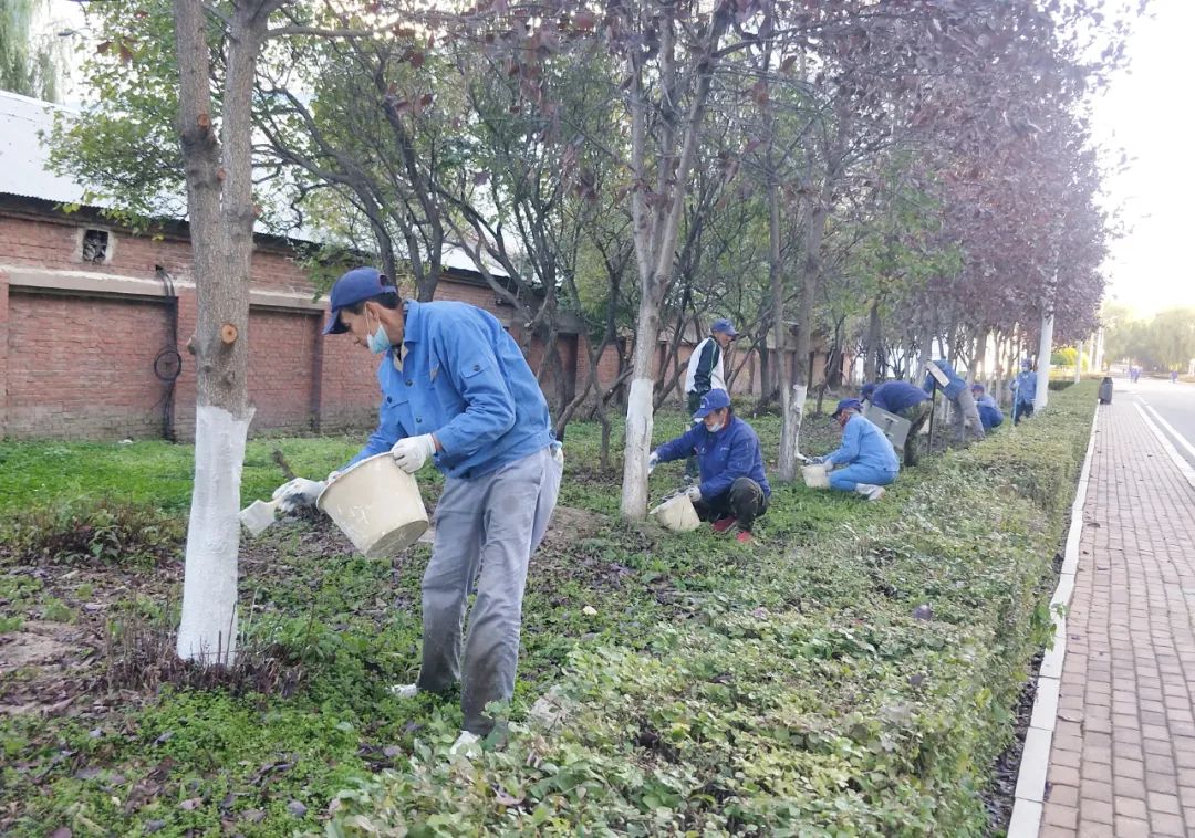yp街机·电子游戏(中国)官方网站