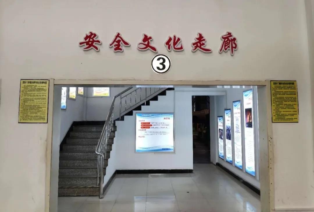 yp街机·电子游戏(中国)官方网站